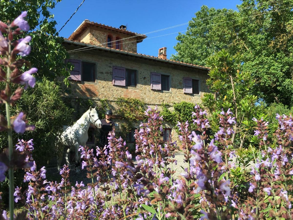 Farmhouse B&B Il Paretaio Barberino di Val dʼElsa Eksteriør bilde