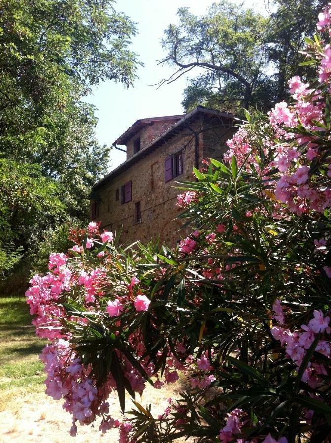 Farmhouse B&B Il Paretaio Barberino di Val dʼElsa Eksteriør bilde