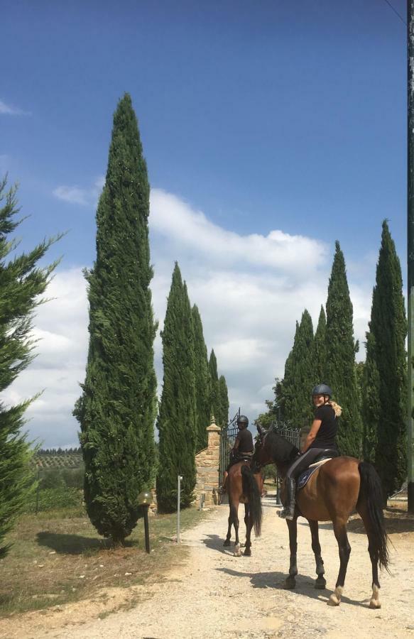 Farmhouse B&B Il Paretaio Barberino di Val dʼElsa Eksteriør bilde