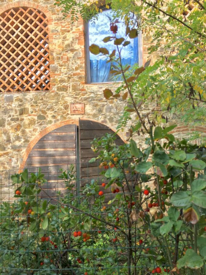 Farmhouse B&B Il Paretaio Barberino di Val dʼElsa Eksteriør bilde