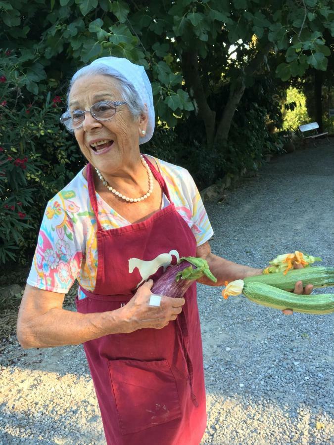 Farmhouse B&B Il Paretaio Barberino di Val dʼElsa Eksteriør bilde