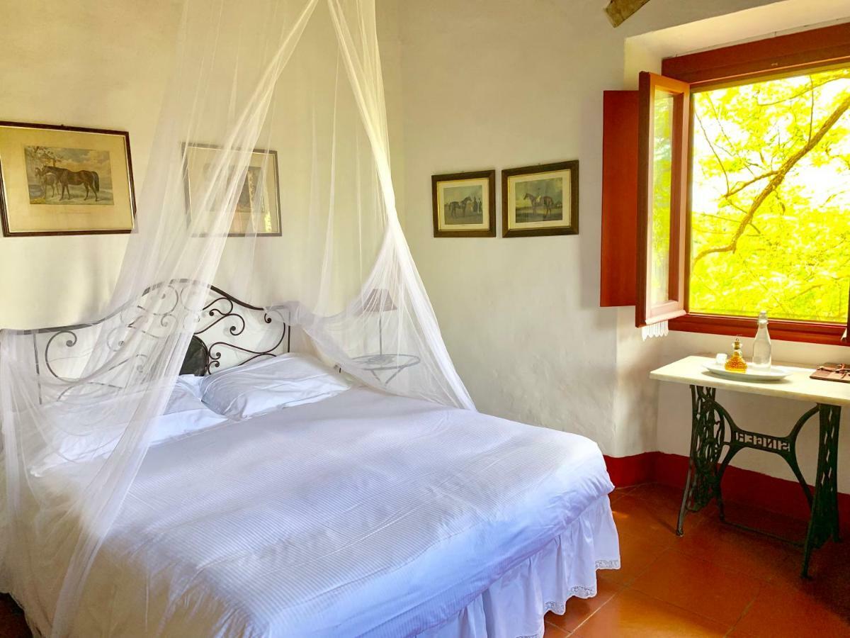 Farmhouse B&B Il Paretaio Barberino di Val dʼElsa Eksteriør bilde